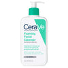 Foaming Facial Cleanser- Normal to Oily Skin - 473ml