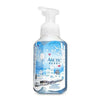 Arctic Berry Gentle Foaming Hand Soap