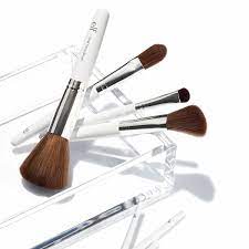 Professional Set of 12 Makeup Brushes